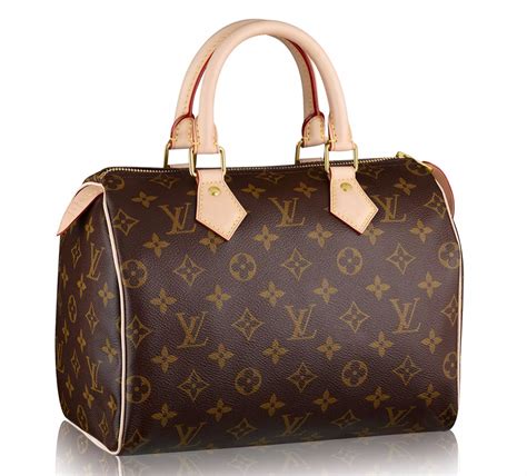 Speedy Louis Vuitton 